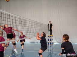 2025-coupe-dames