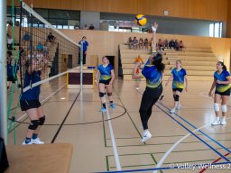 2026-coupe-dames